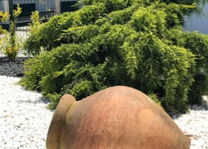 別荘 Paradise Valley House