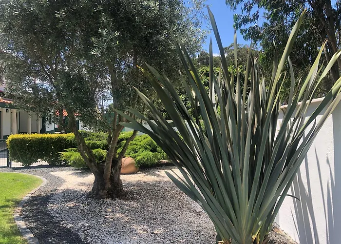 Paradise Valley House 別荘 サン・マルティーニョ・ド・ポルト