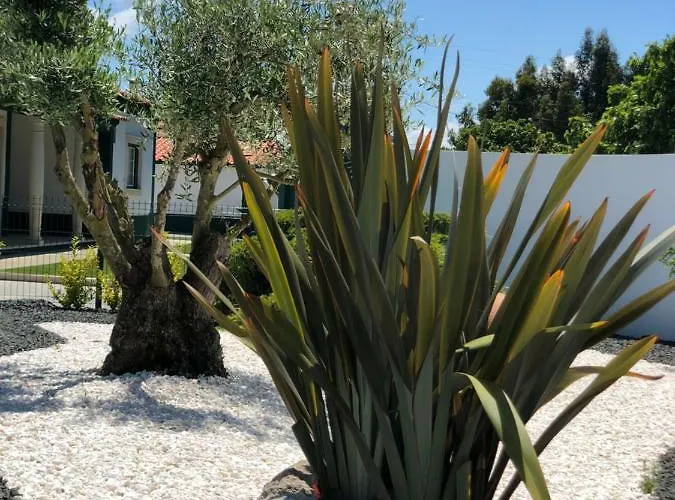 Paradise Valley House 別荘 *