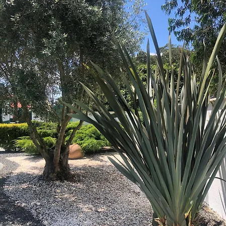 Paradise Valley House Σπίτι διακοπών Sao Martinho do Porto