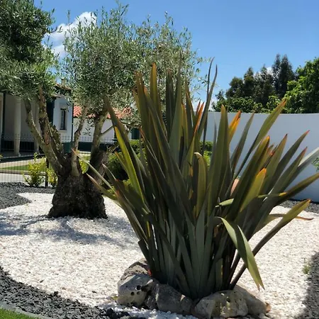 Paradise Valley House Σπίτι διακοπών *