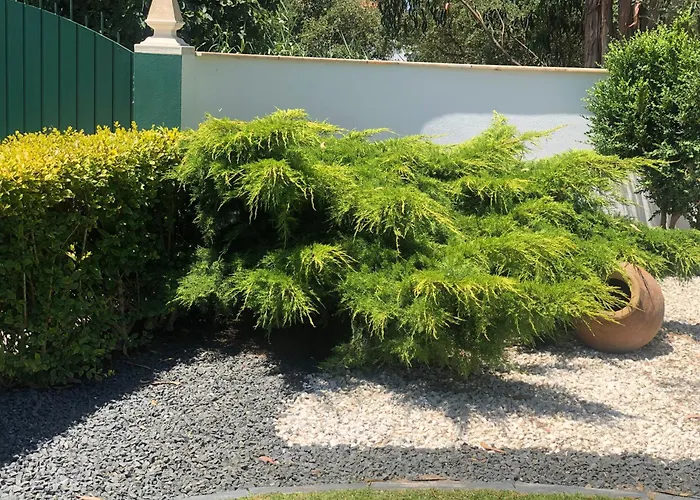 Paradise Valley House